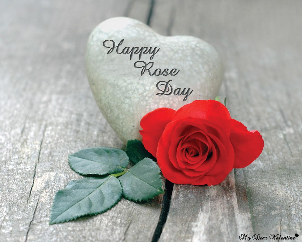 19 Rose Day 2023 quotes to wish your love this Valentine's Week | Times of  India