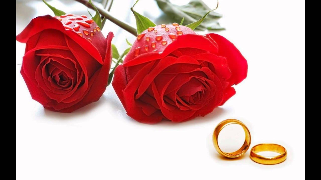 1280x720 Happy Rose Day 2015. Wallpaper, Image, Greetings