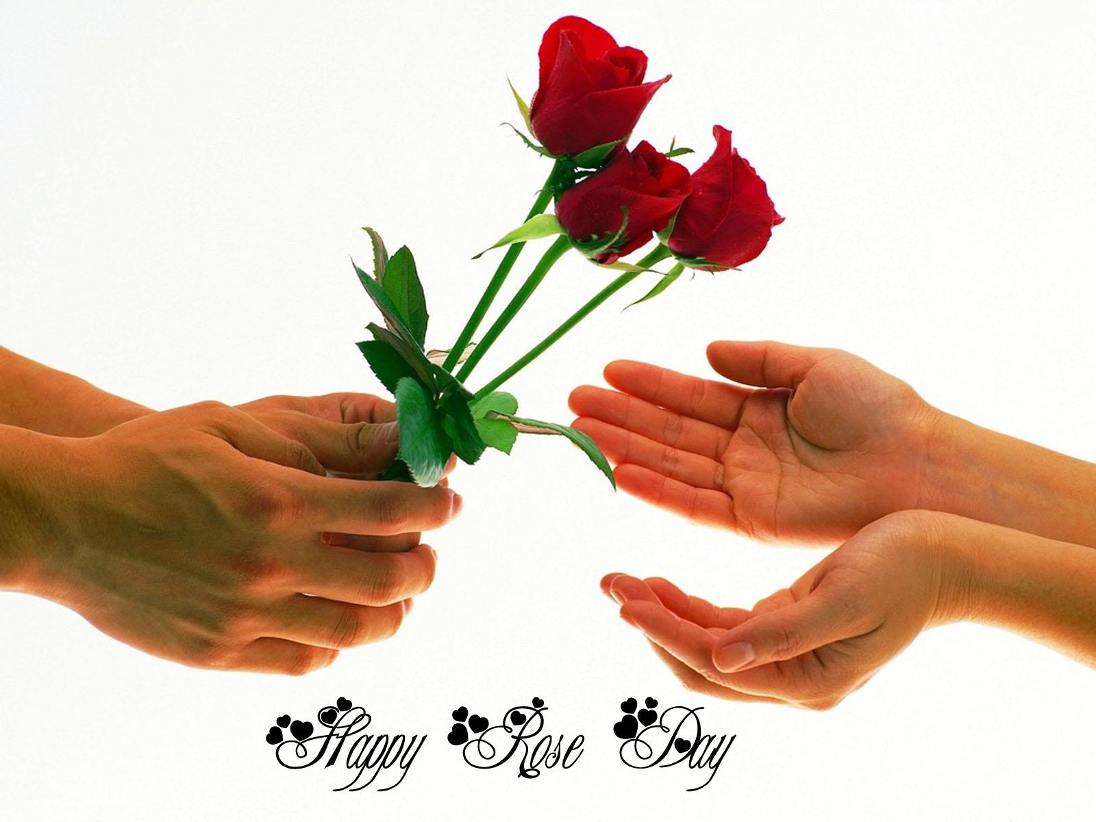 1600x1200 Happy rose day 2016 HD wallpaper « Valentine Masti 2016