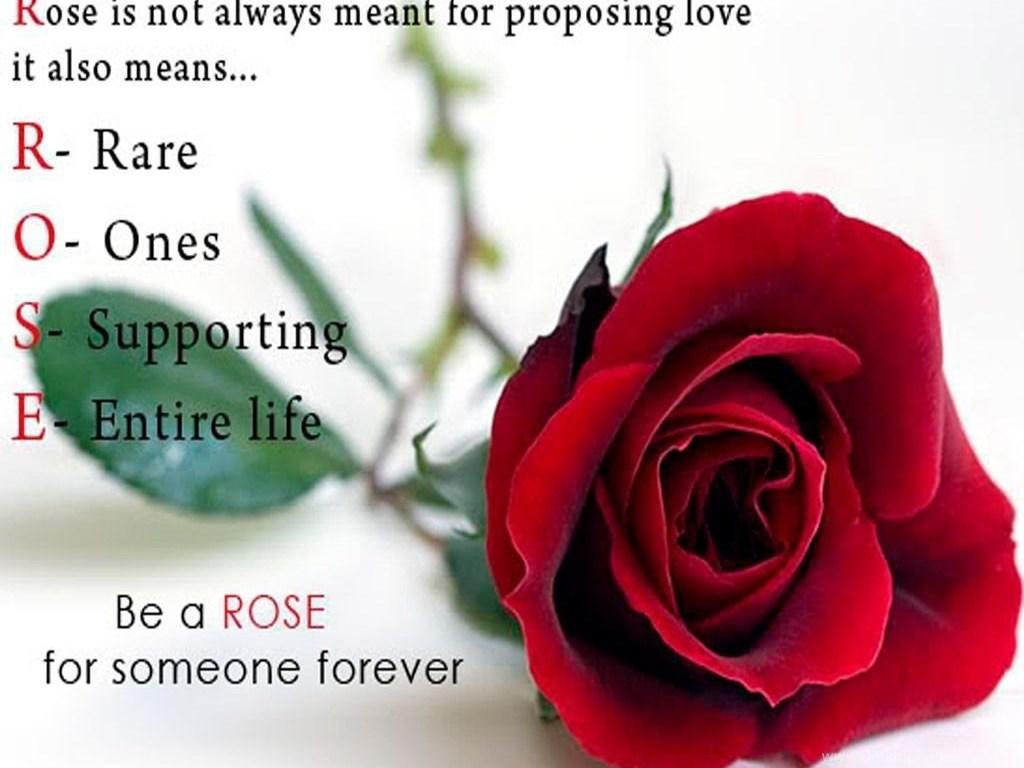 1024x768 Happy Rose Day Wallpaper {image HD} Popular Wishes Desktop Background