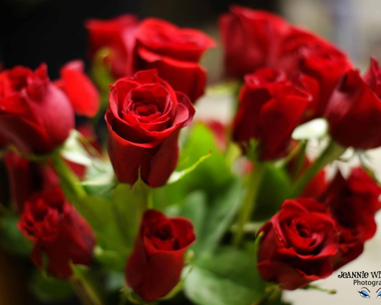 1280x1024 Free download Happy Rose Day HD Wallpaper [1600x1071] for your Desktop, Mobile & Tablet. Explore Happy Rose Day Wallpaper. Happy Rose Day Wallpaper, Happy Day Wallpaper, Happy Valentines Day Wallpaper