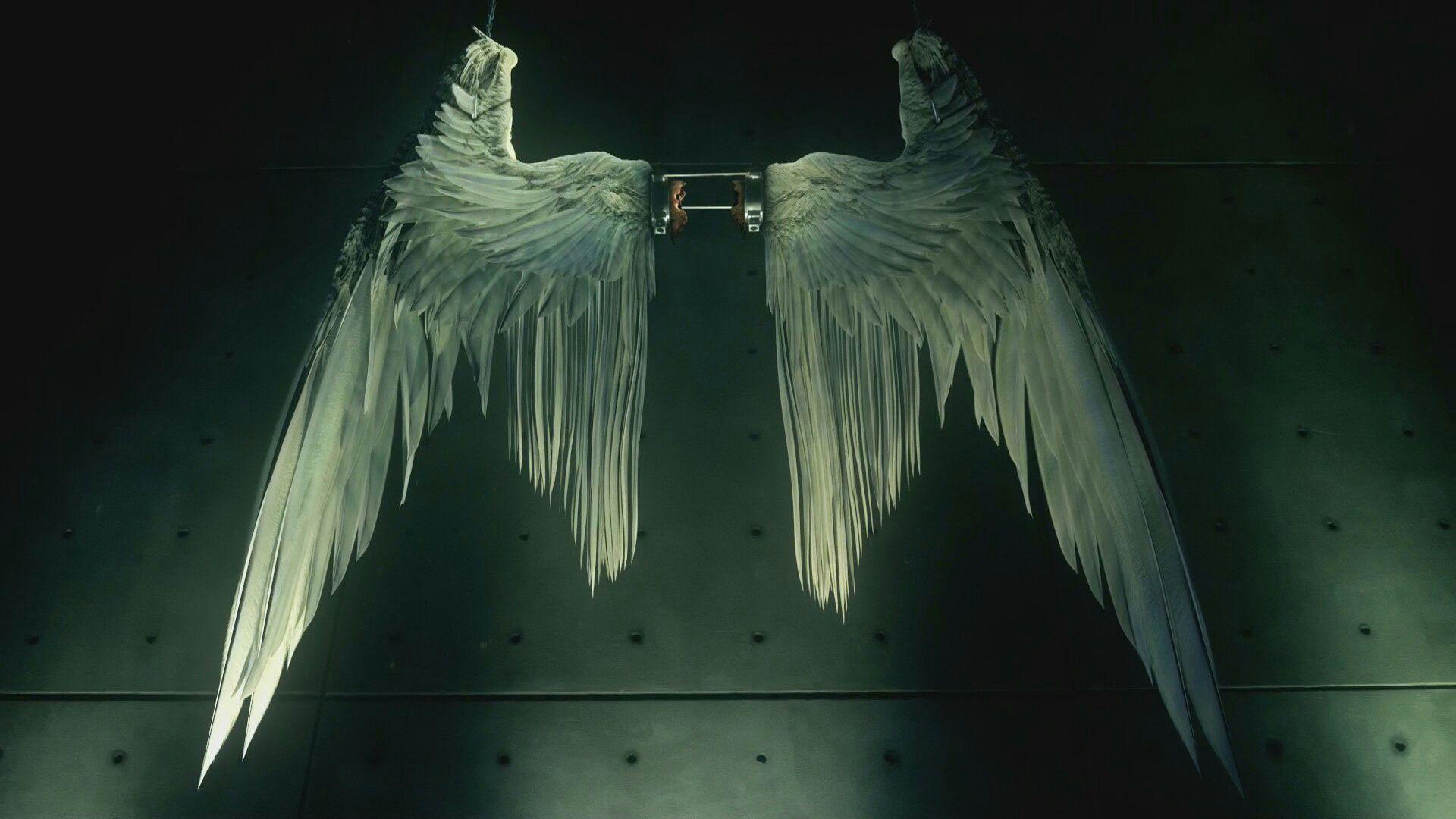 1920x1080 Nephilim