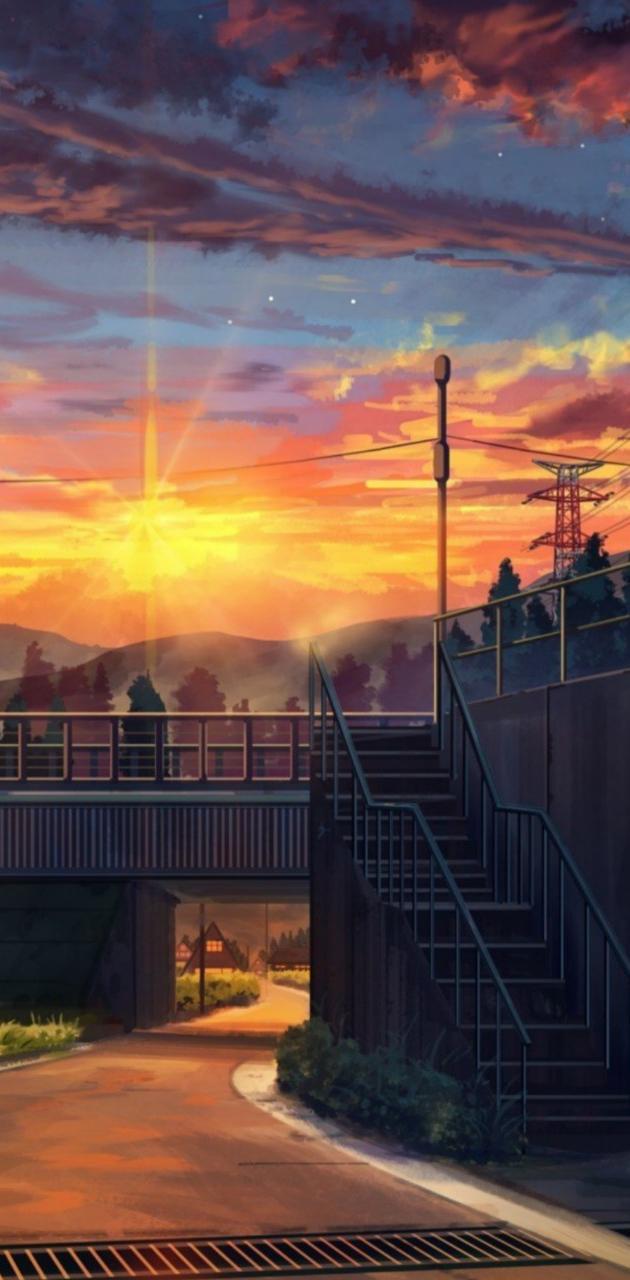 630x1280 aesthetic sunset wallpaper