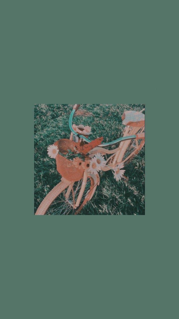 720x1280 DISNEY & WALLPAPER ⭐. Art wallpaper, iPhone wallpaper vintage, Aesthetic iphone wallpaper