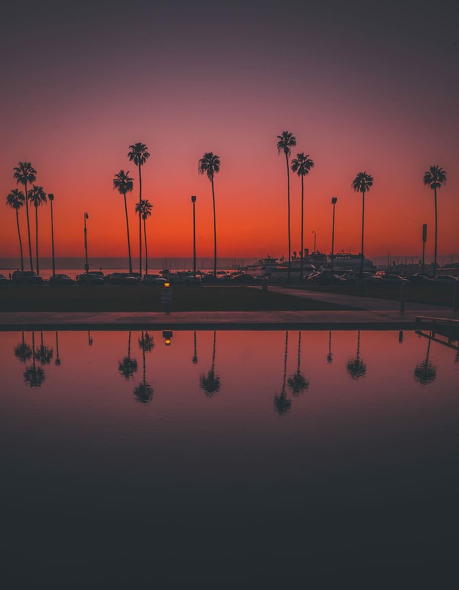 910x1169 San Diego Wallpaper, HD San Diego Background