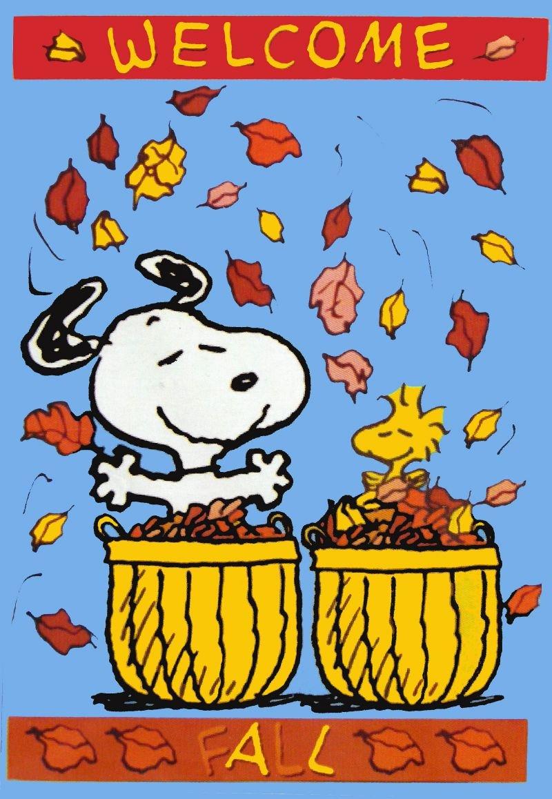 800x1158 Snoopy Autumn Picture Wallpaper