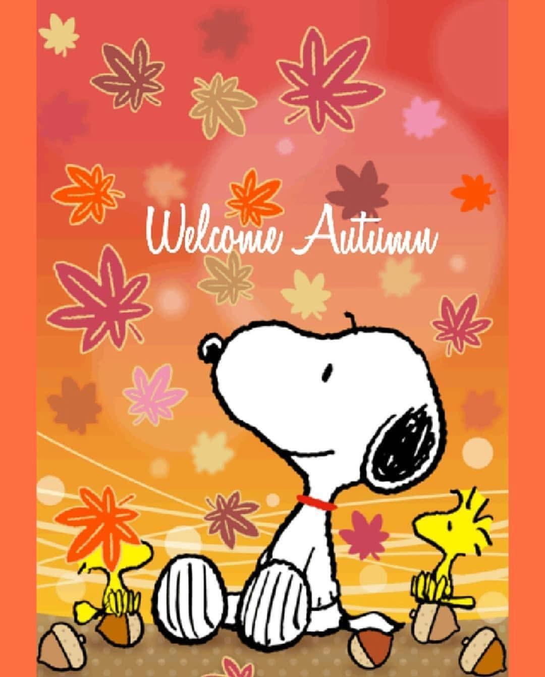 Snoopy Autumn Wallpapers - Top Free Snoopy Autumn Backgrounds ...