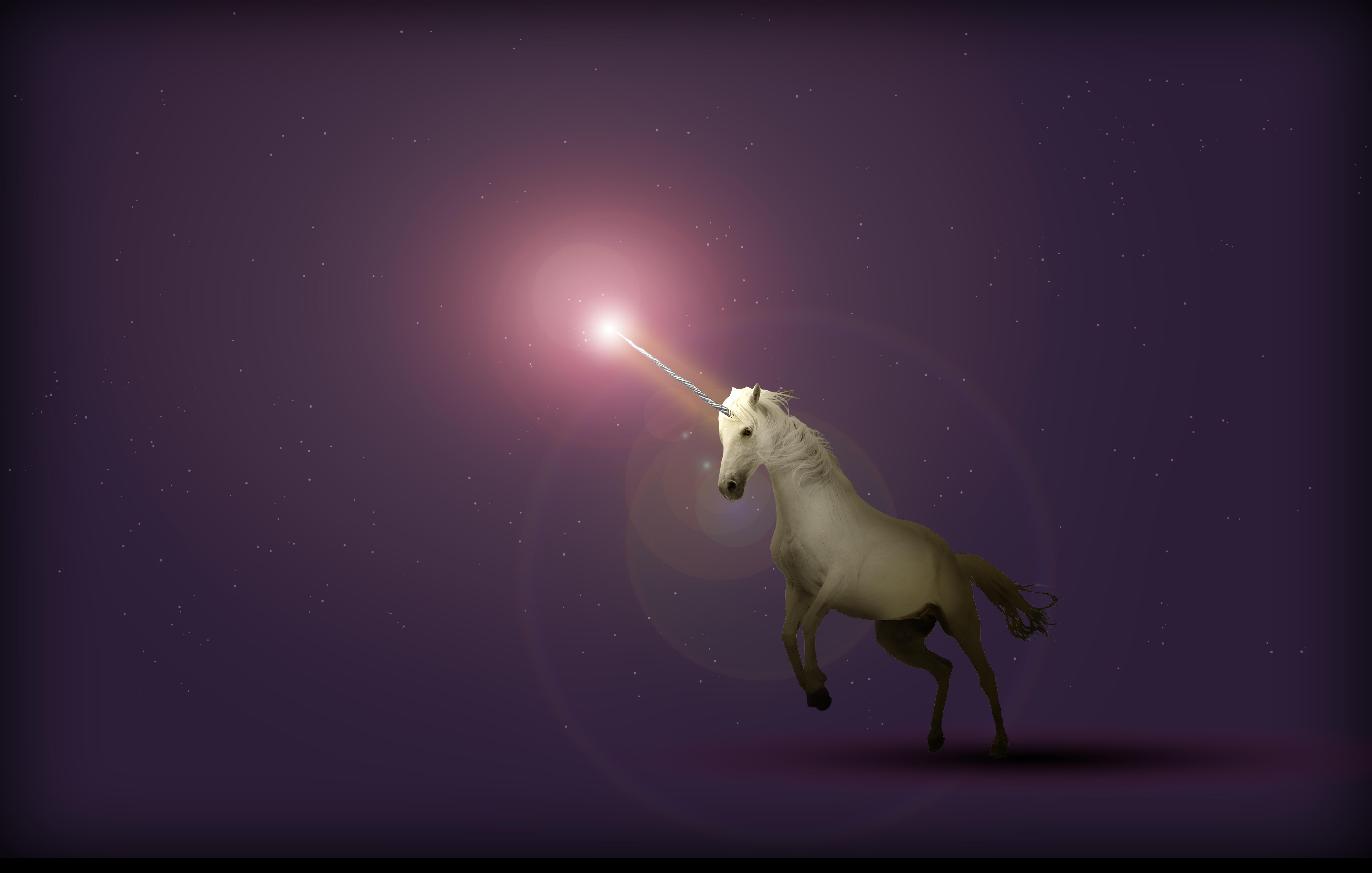 6496x4134 #Purple, K, #Unicorn, #Minimal. Mocah HD Wallpaper