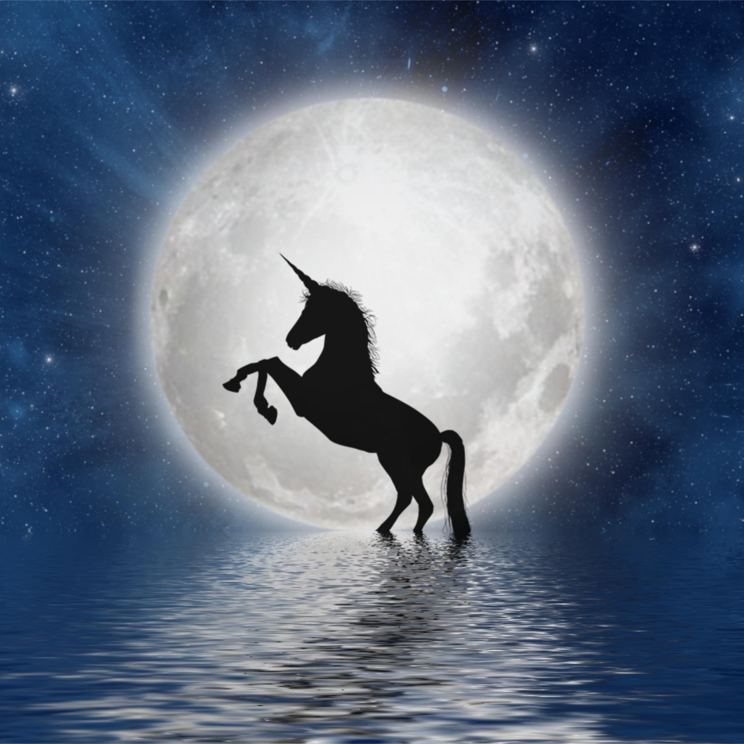 2932x2932 Download 2932x2932 wallpaper unicorn, moon, silhouette, art, ipad pro retina, 2932x2932 HD image, background, 18186