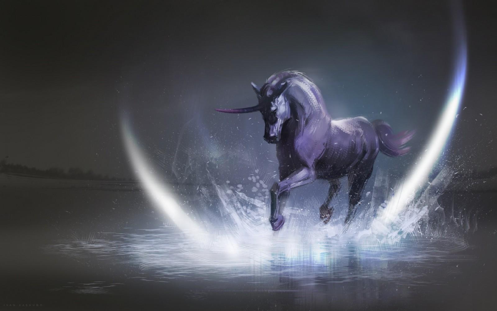 1600x1000 unicorns HD wallpaper, Background