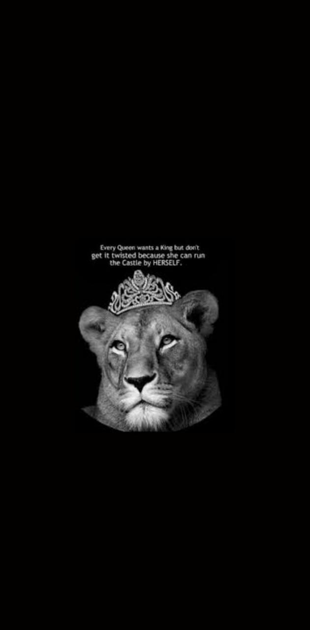 630x1280 Lioness crown wallpaper