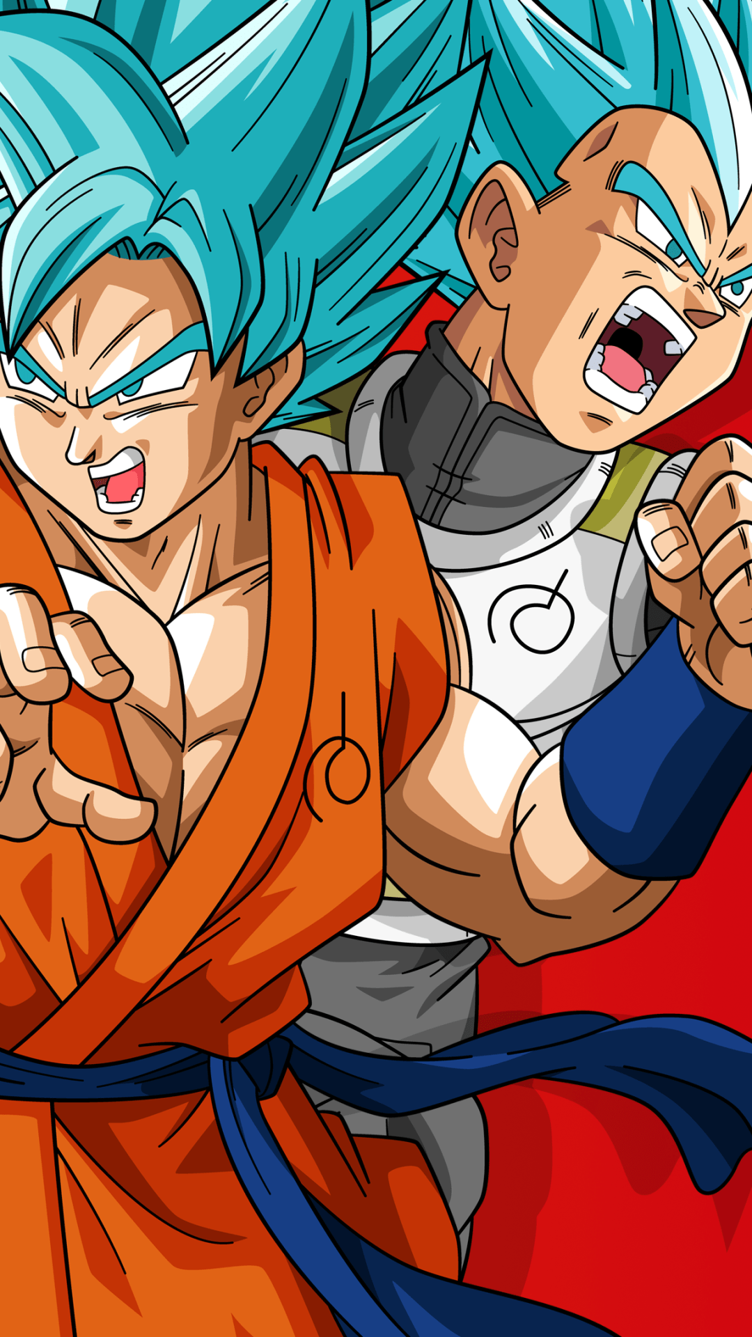 1080x1920 Anime Dragon Ball Super