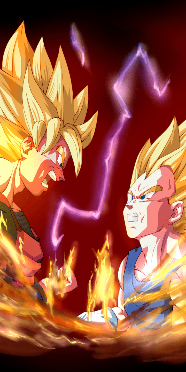 720x1440 Anime Dragon Ball Z