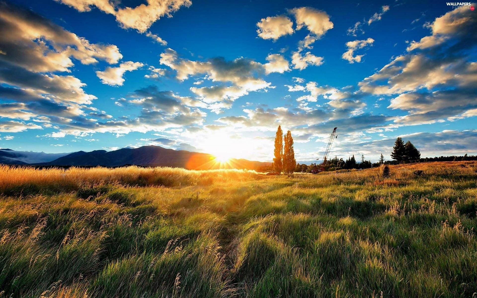 1920x1200 sunny, Meadow, Field, dark, rays, clouds, The Hills HD Wallpaper: 1920x1200