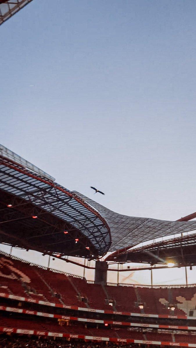 675x1200 Wallpaper Benfica
