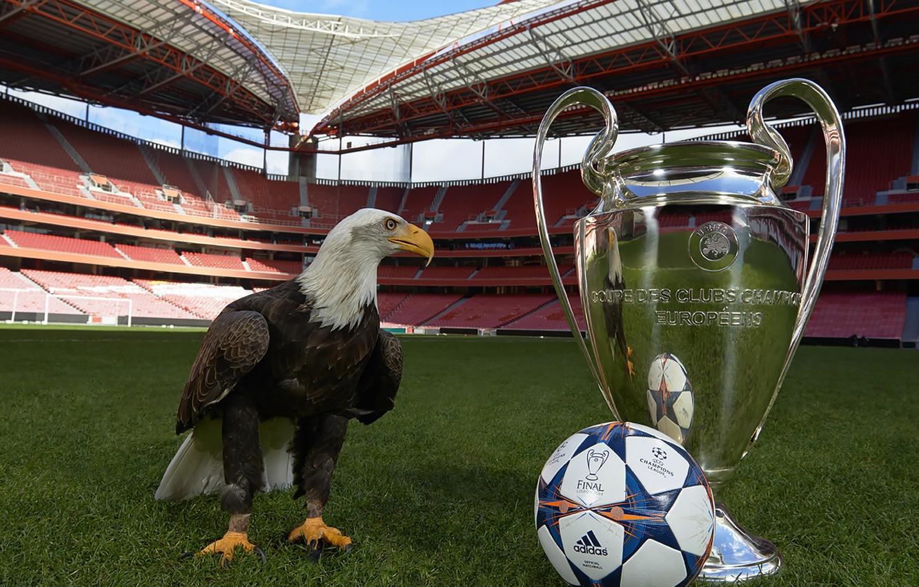 1332x850 Wallpaper The ball, Sport, Football, Adidas, Adidas, Ball, Football, Stadium, Stadium, Champions League, Champions League, The stadium of Light, Sport, Estádio da Luz image for desktop, section спорт