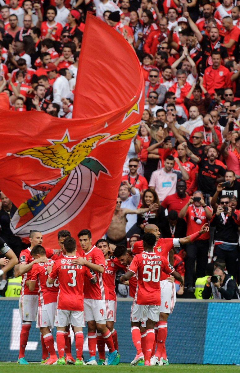773x1200 Benfica Stuff alguém precisar de um wallpaper novo. #TetraSLB