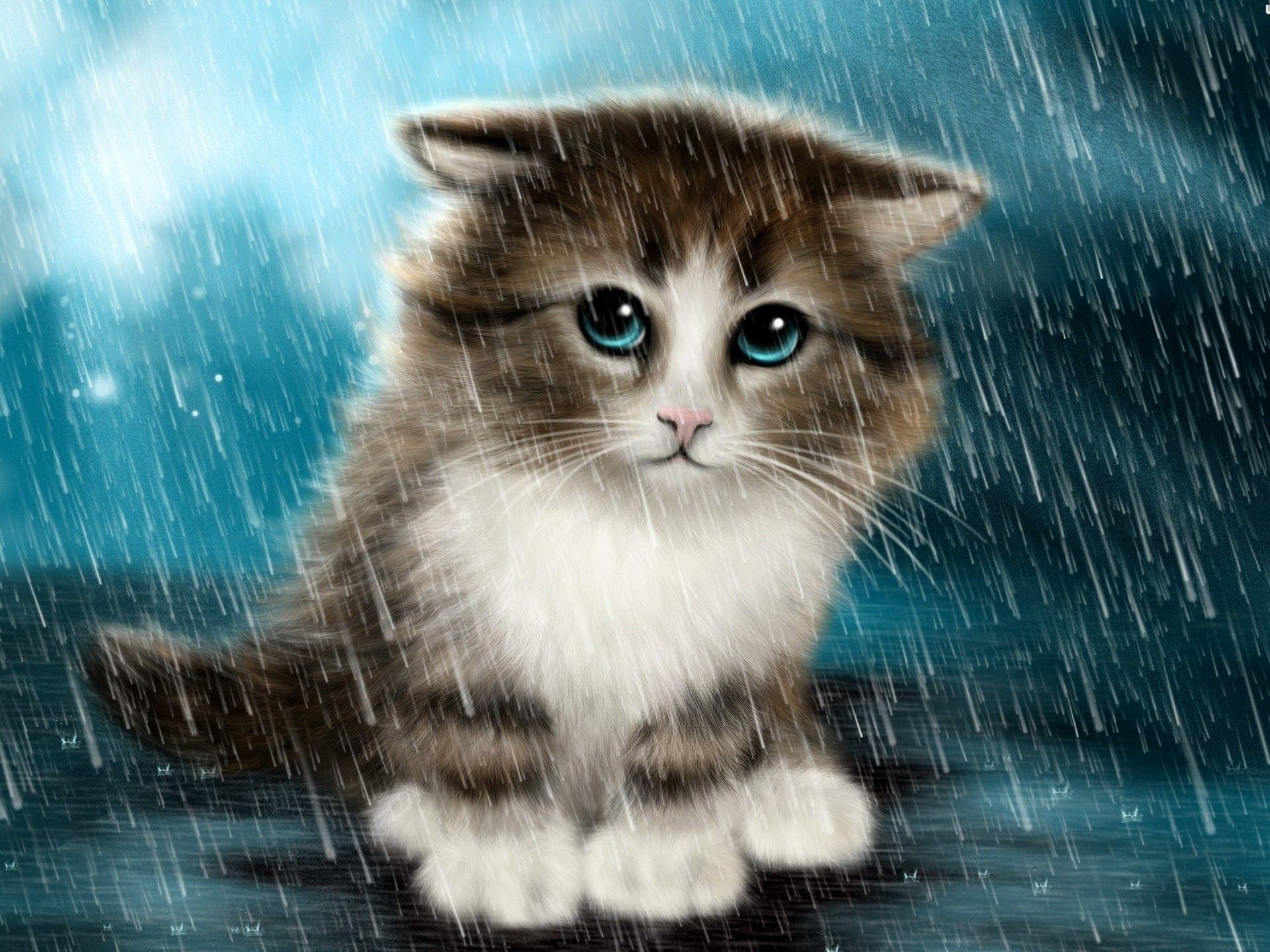 Animals Rain Wallpapers - Top Free Animals Rain Backgrounds ...