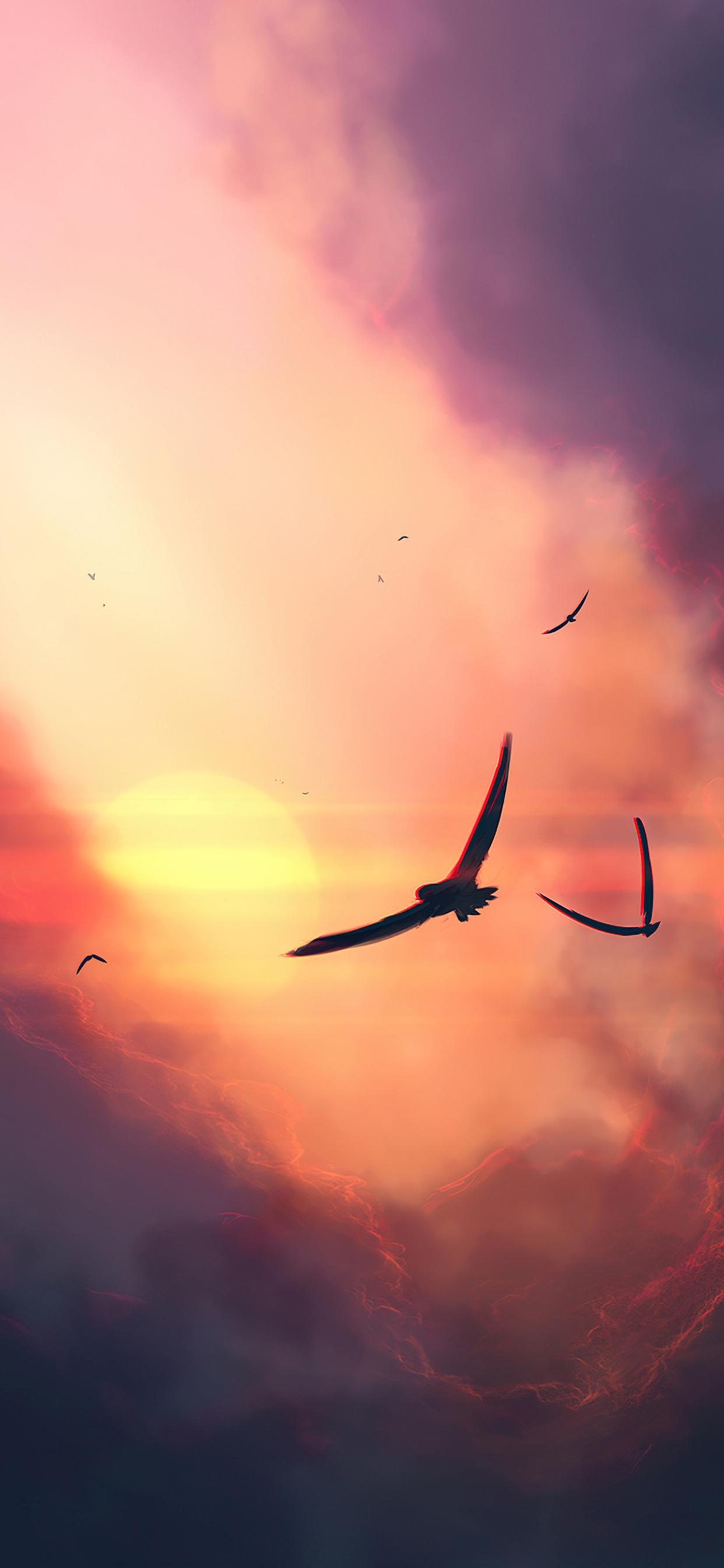 1242x2688 Birds Sunset Clouds 4k iPhone XS MAX HD 4k Wallpaper, Image, Background, Photo and Picture