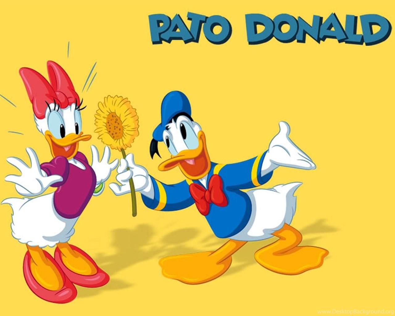 1280x1024 Disney HD Wallpaper: Walt Disney Daisy And Donald Duck HD Wallpaper Desktop Background