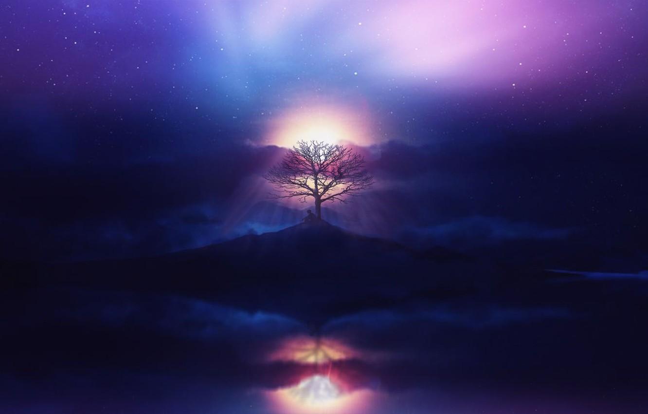 1332x850 Wallpaper aurora, sky, sea, ocean, sunset, clouds, stars, tree, boy, purple image for desktop, section фантастика