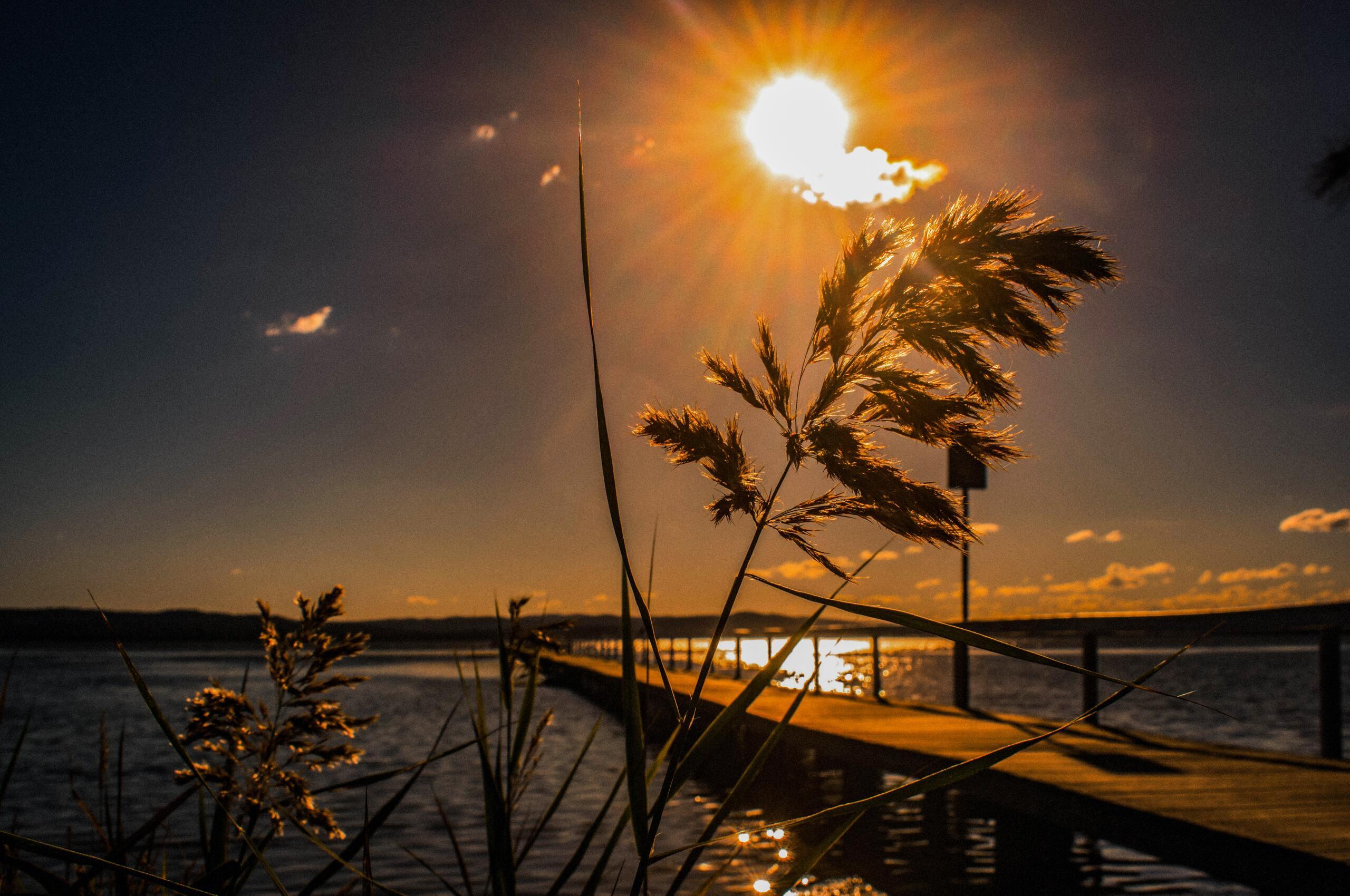 2560x1700 Australia Boardwalk Central Coast Central Coast Chromebook Pixel HD 4k Wallpaper, Image, Background, Photo and Picture