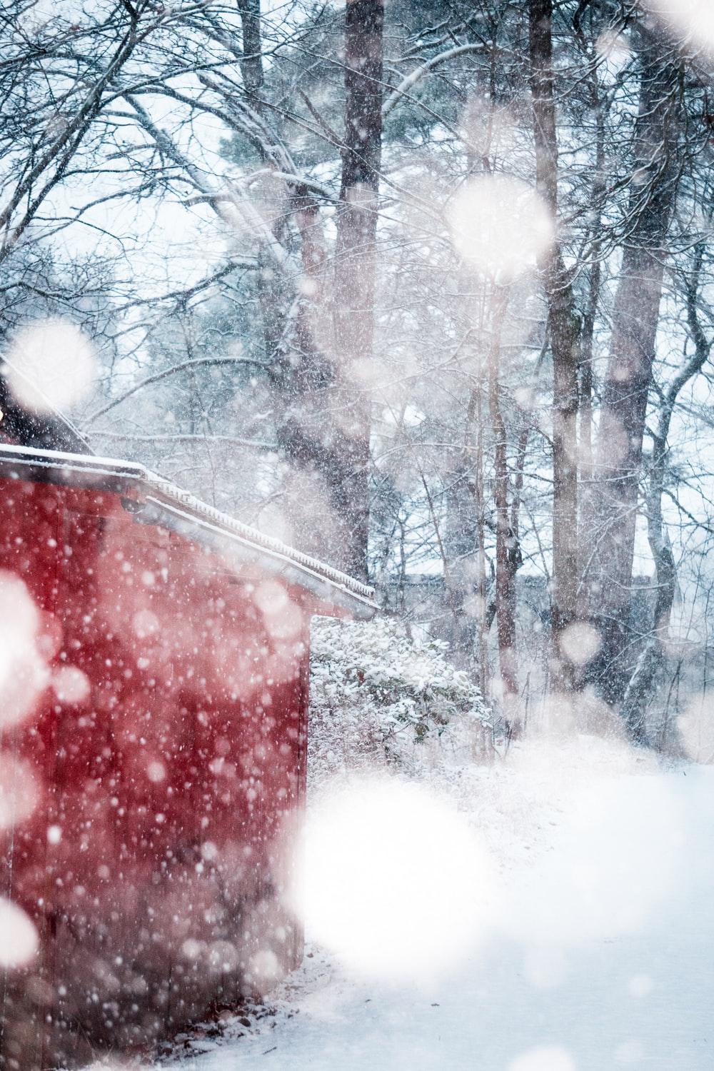 1000x1500 red and white house near trees during snow photo
