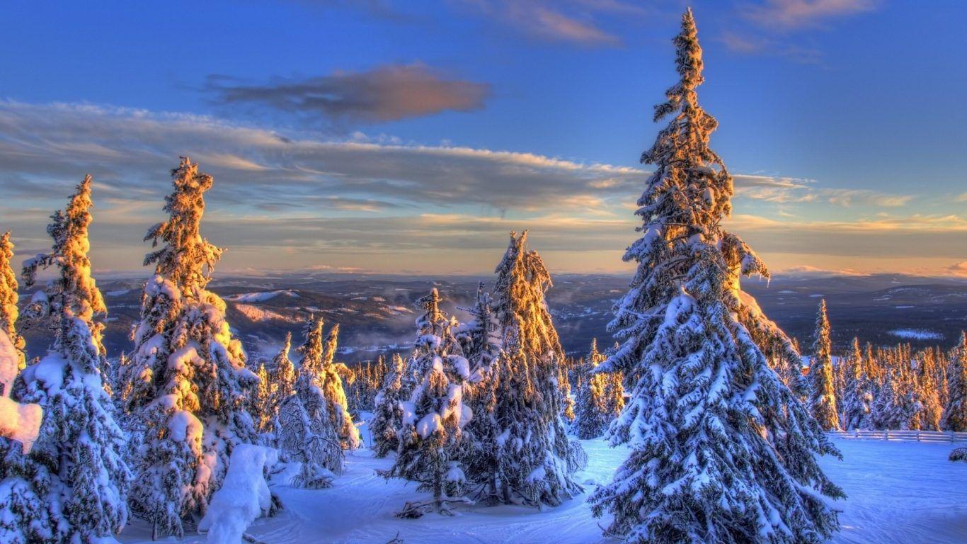 Ireland Forest Desktop Wallpapers Top Free Ireland Forest Desktop