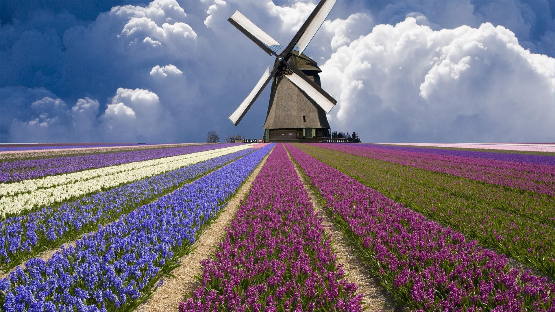 1920x1080 #Netherlands, #windmill, #nature, wallpaper. Mocah HD Wallpaper