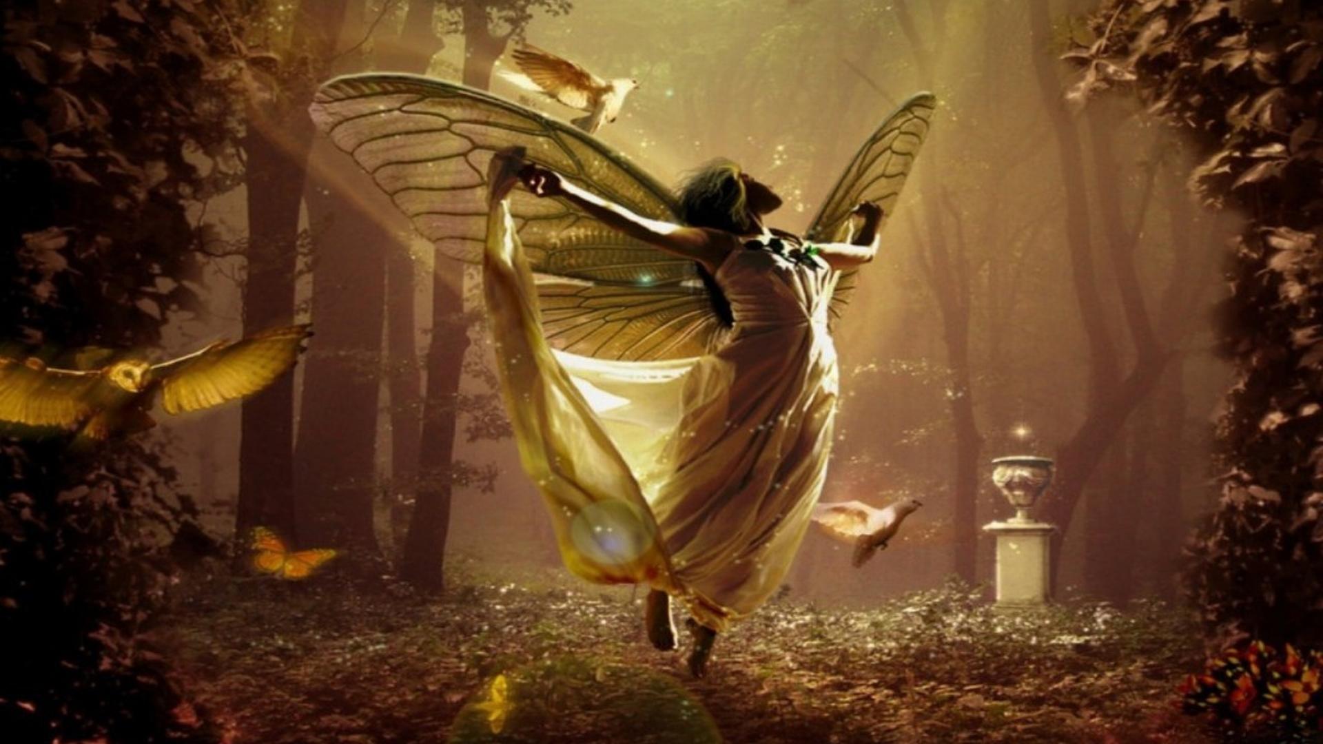 Garden Fairies Wallpapers - Top Free Garden Fairies Backgrounds