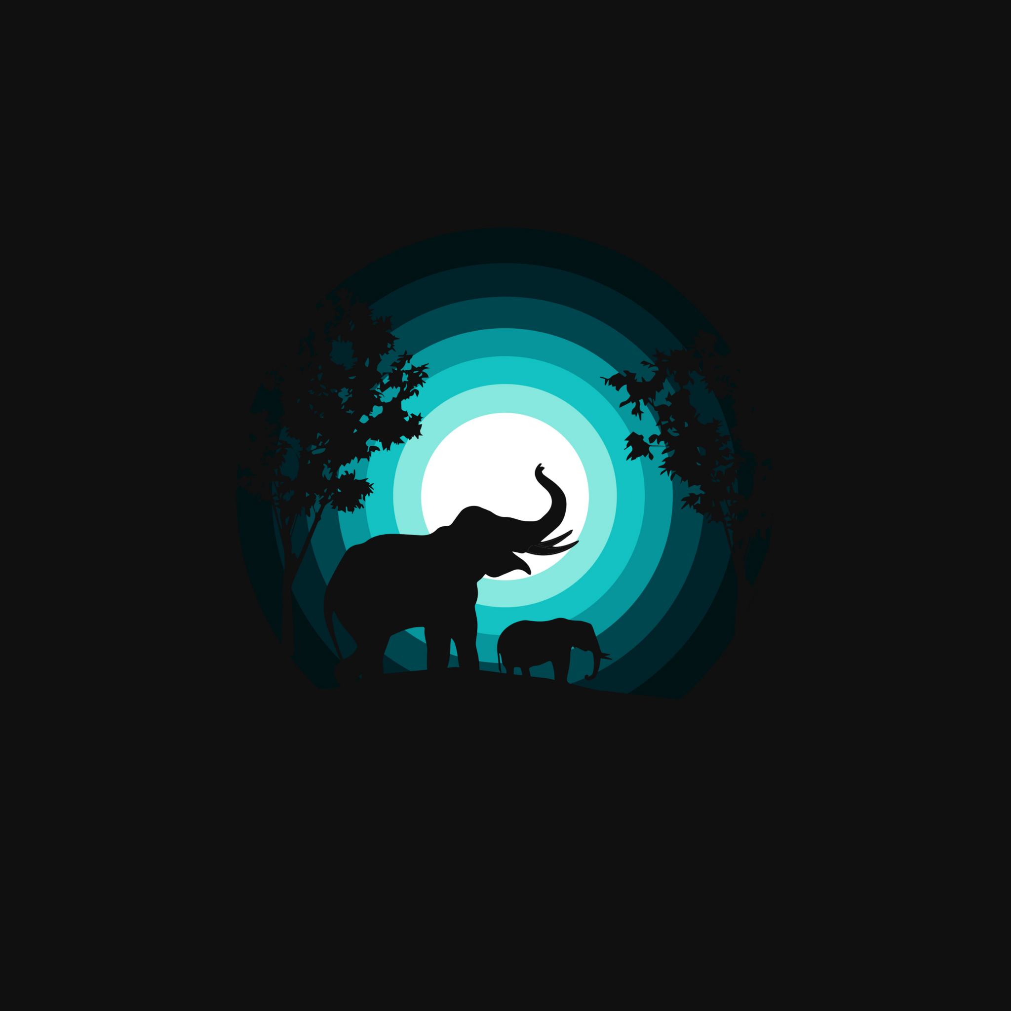2048x2048 Teal 4k Wallpaper