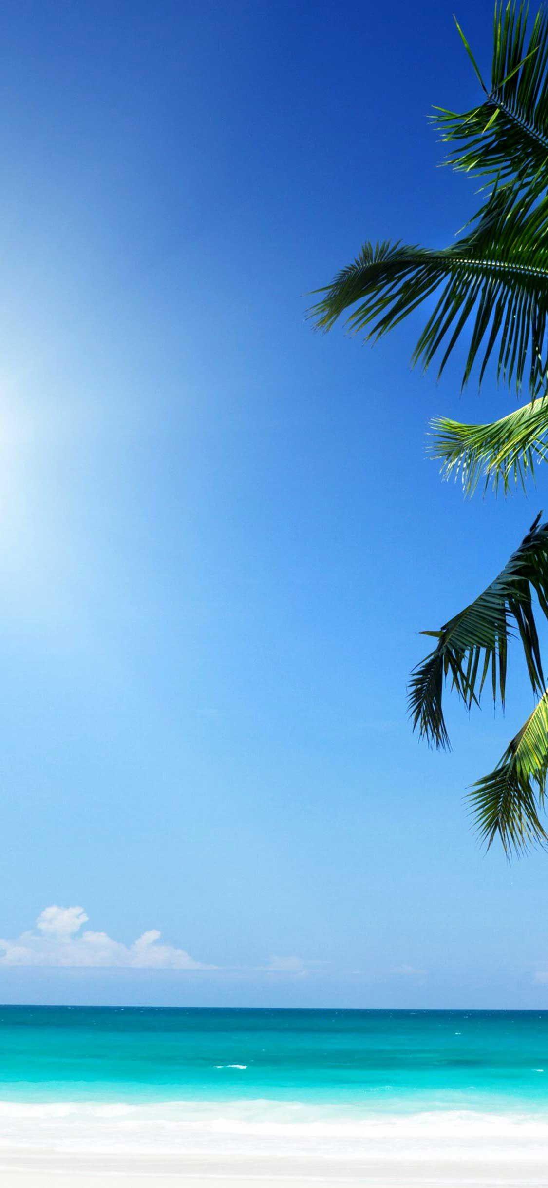 1125x2436 iPhone X Wallpaper top collection of tropical beach wallpaper sunny beach HD. Beach wallpaper, Tropical beach, Beach