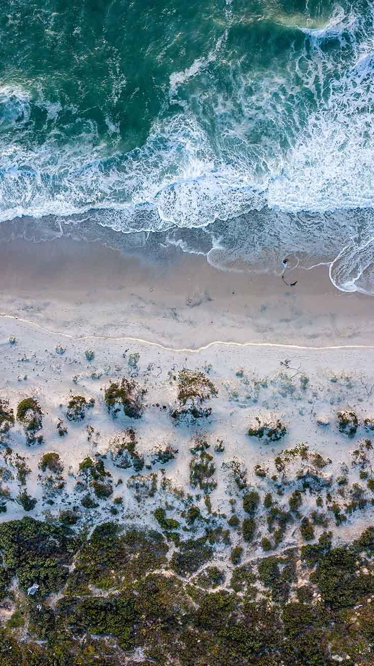736x1308 Reminiscing Summer With 26 Sunny iPhone Xs Wallpaper