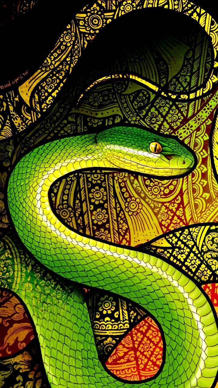 720x1280 iPhone Wallpaper for iPhone XS, iPhone XR and iPhone X : iPhone Wallpaper. Snake wallpaper, iPhone wallpaper landscape, Art background