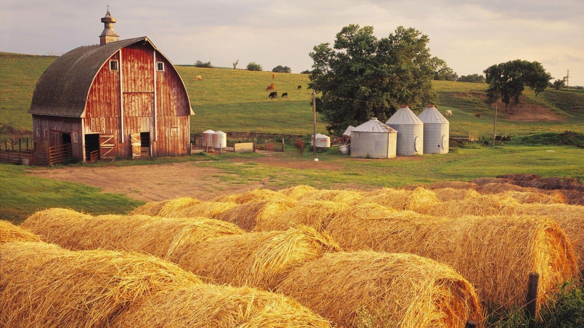 1920x1080 Spring Farm Desktop Wallpaper, HD Spring Farm Desktop Background on WallpaperBat