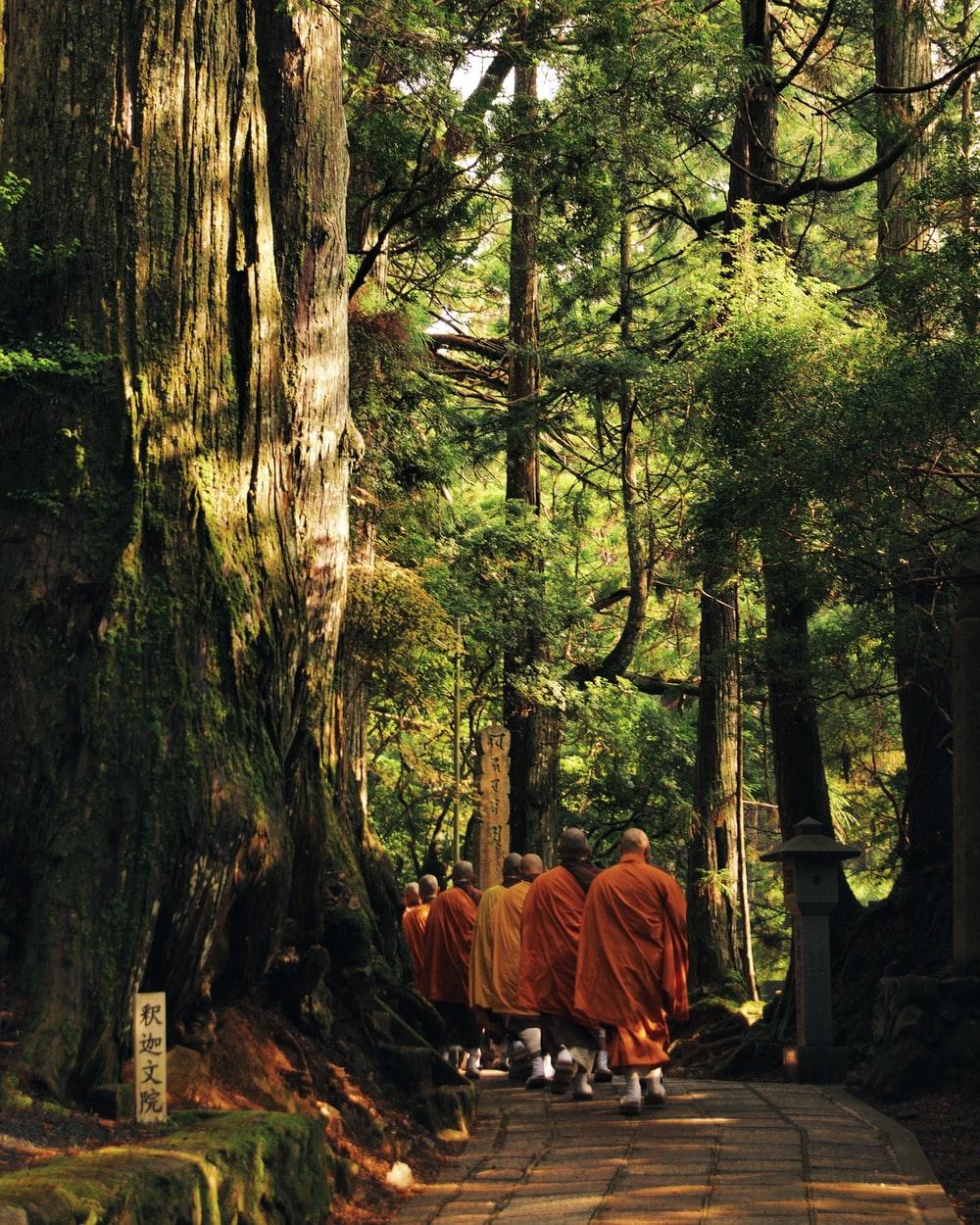 1000x1250 Buddhist Monk Picture. Download Free Image