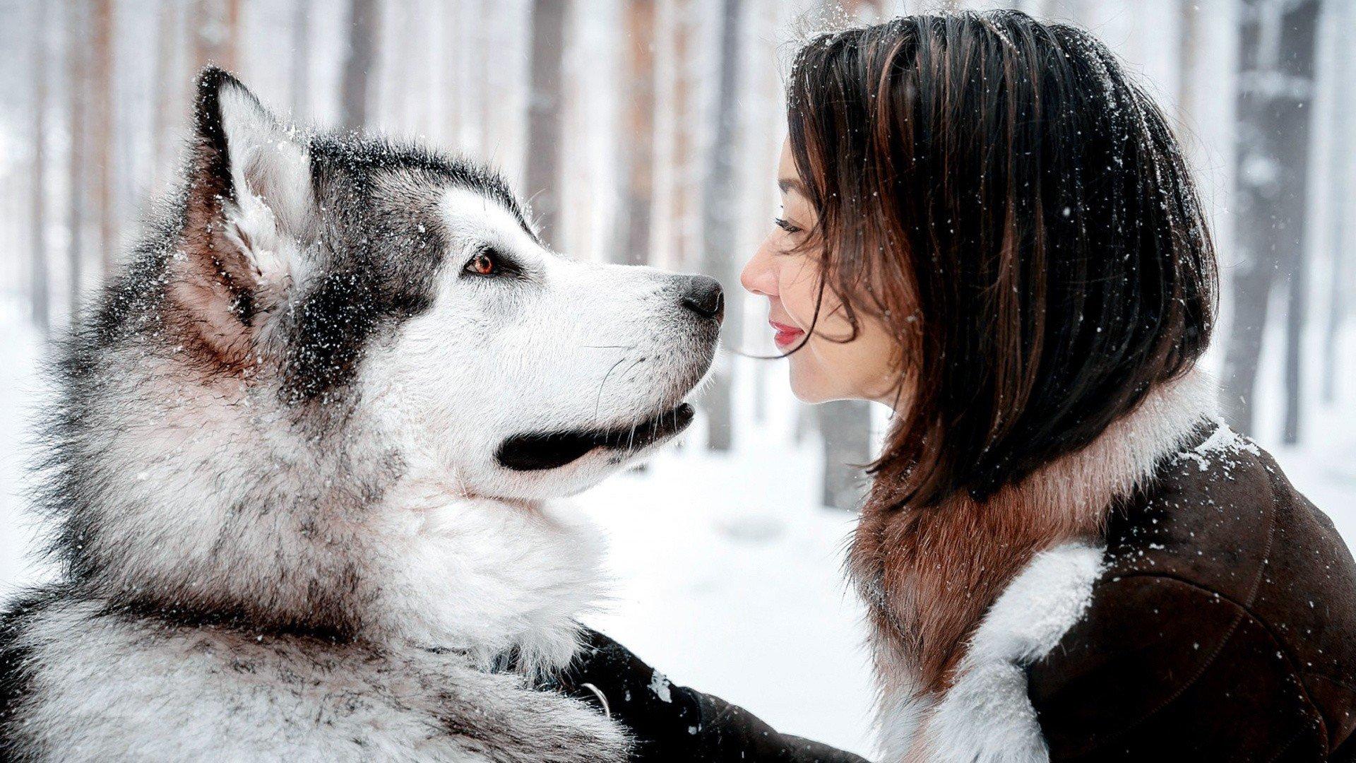 1920x1080 animals, Women outdoors, Smiling, Alaskan Malamute, Water, Dog, Night, Snow HD Wallpaper / Desktop and Mobile Image & Photo