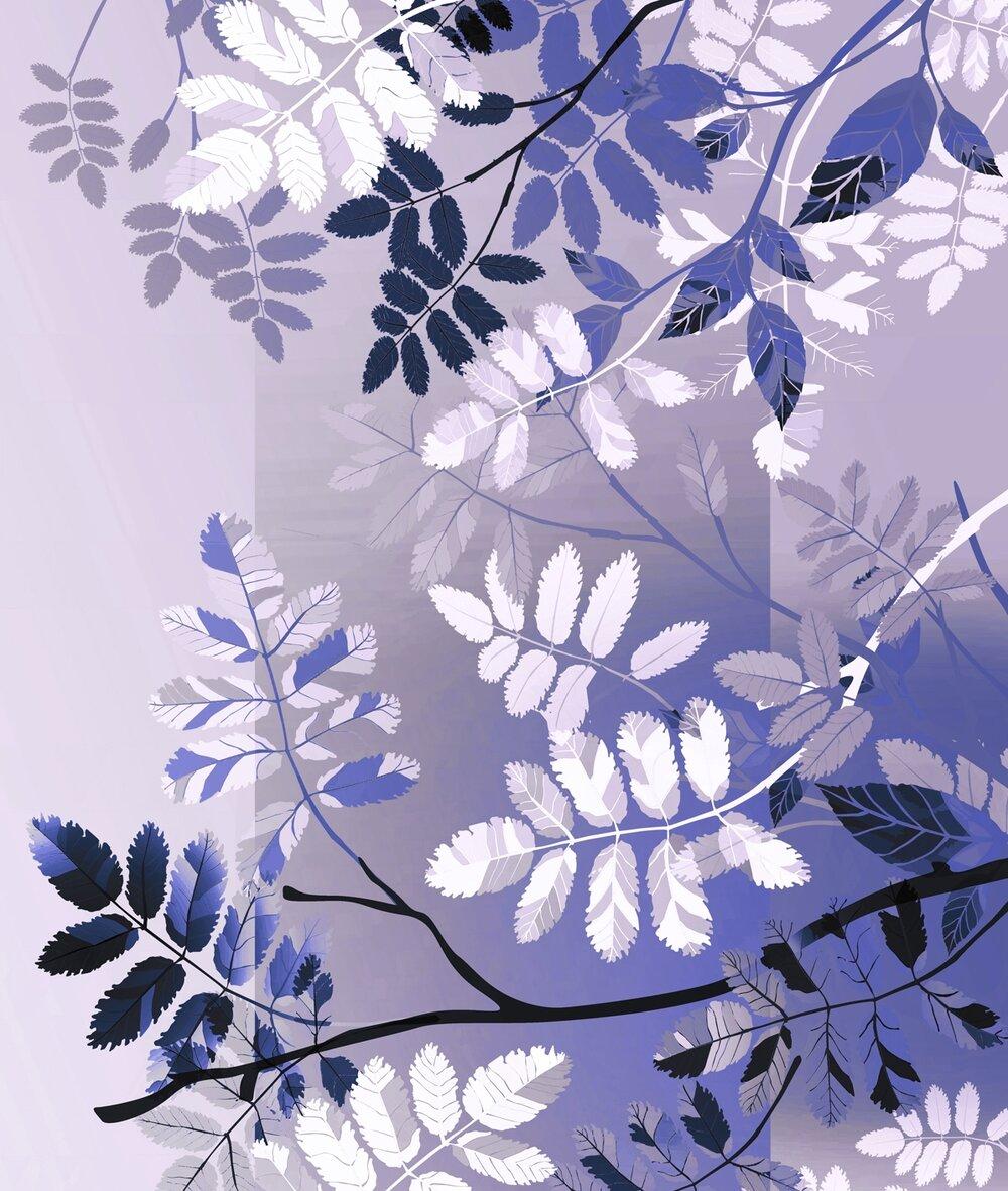 1000x1181 Vol. Issue 3: Asexuality and Pride