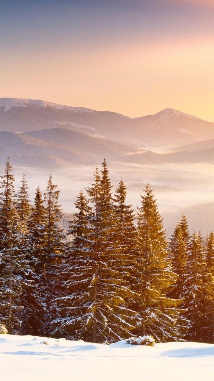 720x1280 Snow Forest Galaxy s3 wallpaper