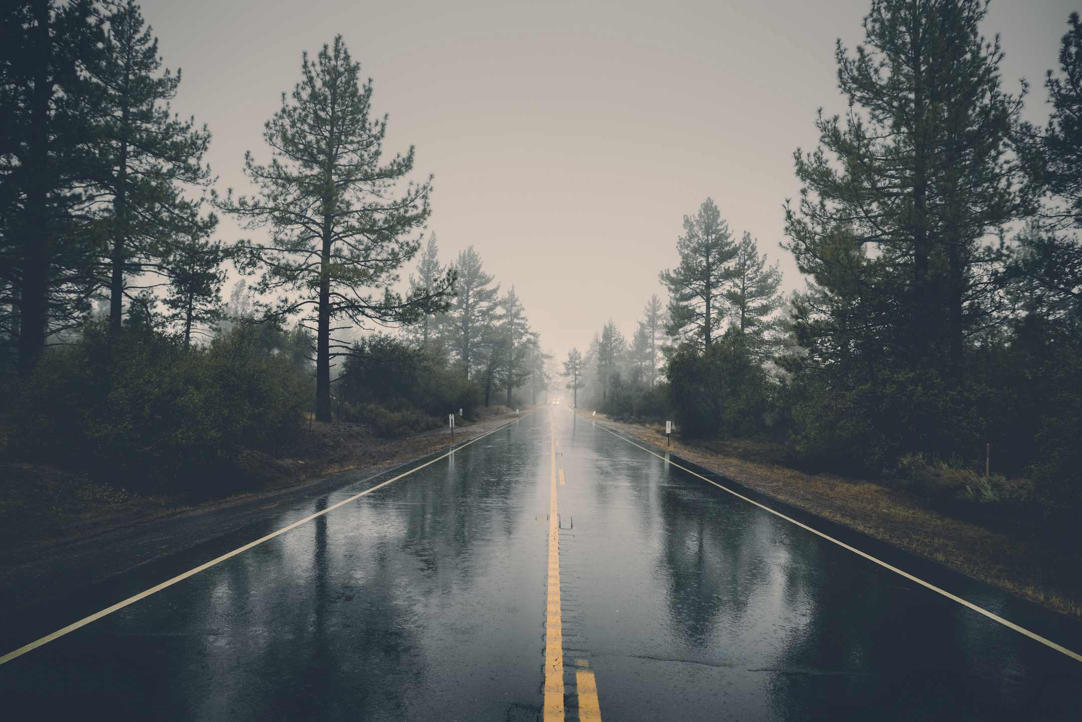 2159x1440 Forest Haze Landscape Mystical Wallpaper. Wallpaper Mania Latest HD