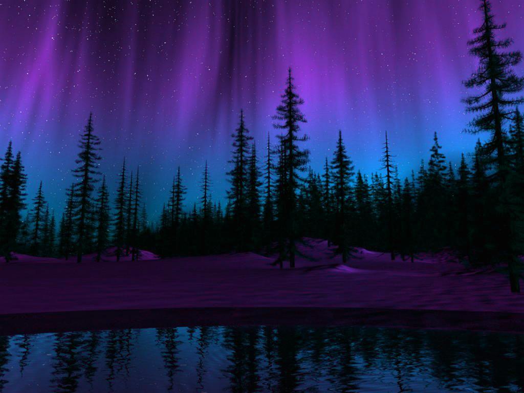 sneen have tillid grænseflade Purple Northern Lights Wallpapers - Top Free Purple Northern Lights  Backgrounds - WallpaperAccess