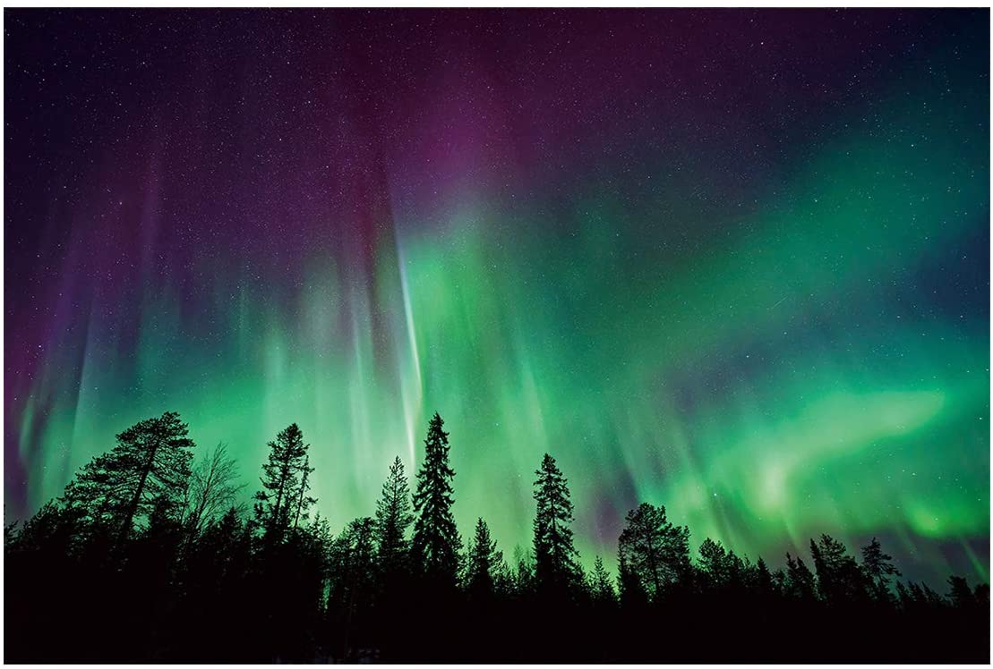 1109x748 Amazon.com : T&H Home Aquarium Décor Background, Purple Green Northern Lights Aurora Borealis Forest Fish Tank Background Aquarium Sticker Wallpaper Decoration Picture PVC Adhesive Poster 24.4 W x 12.4 H