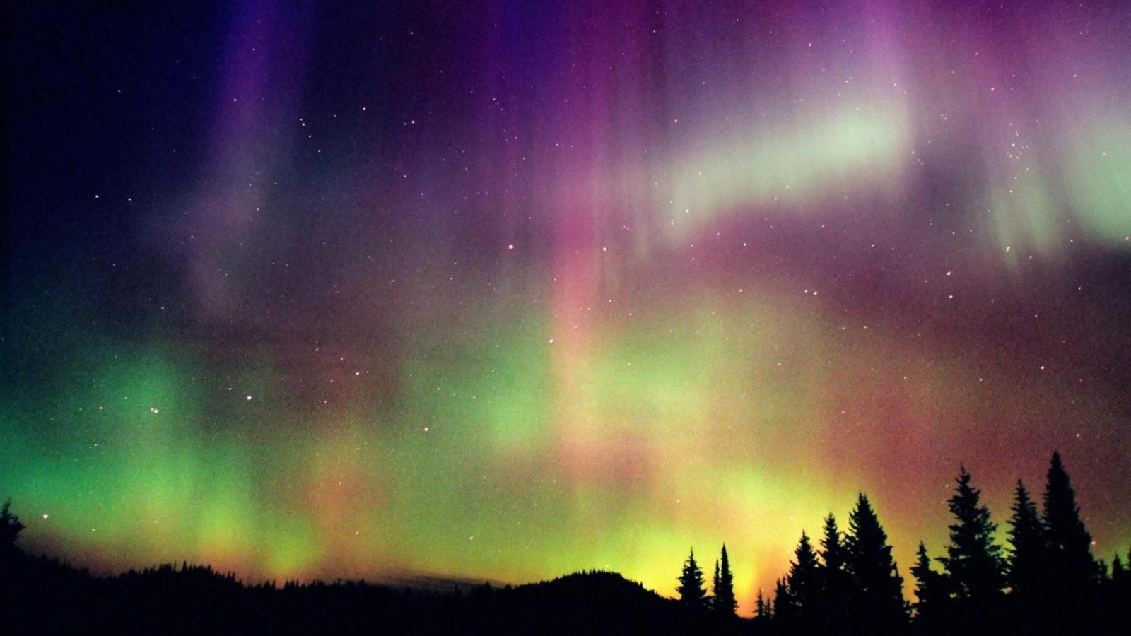 1600x900 Free download Northern Lights light nature northern polar purple [1680x1050] for your Desktop, Mobile & Tablet. Explore Northern Lights Desktop Wallpaper. Alaska Northern Lights Wallpaper, Northern Image Wallpaper