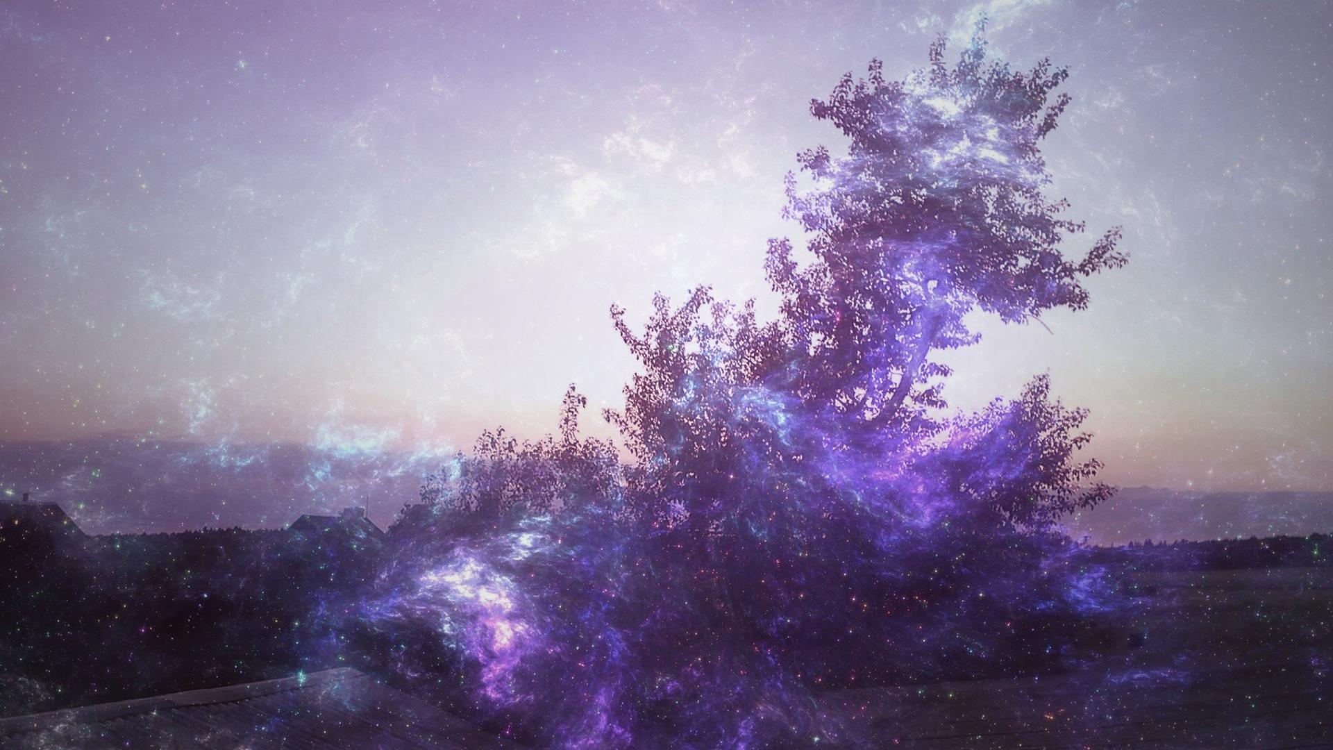 1920x1080 Download 1920x1080 HD Wallpaper tree smoke violet northern lights, Desktop Background HD
