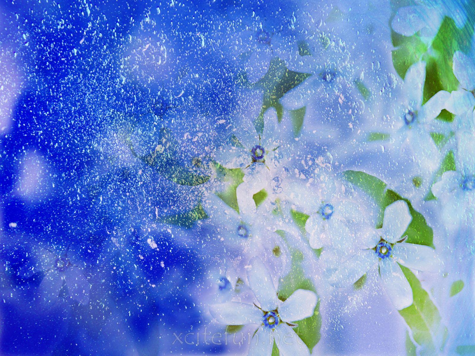1600x1200 Most Beautiful Nature Wallpaper Flowers