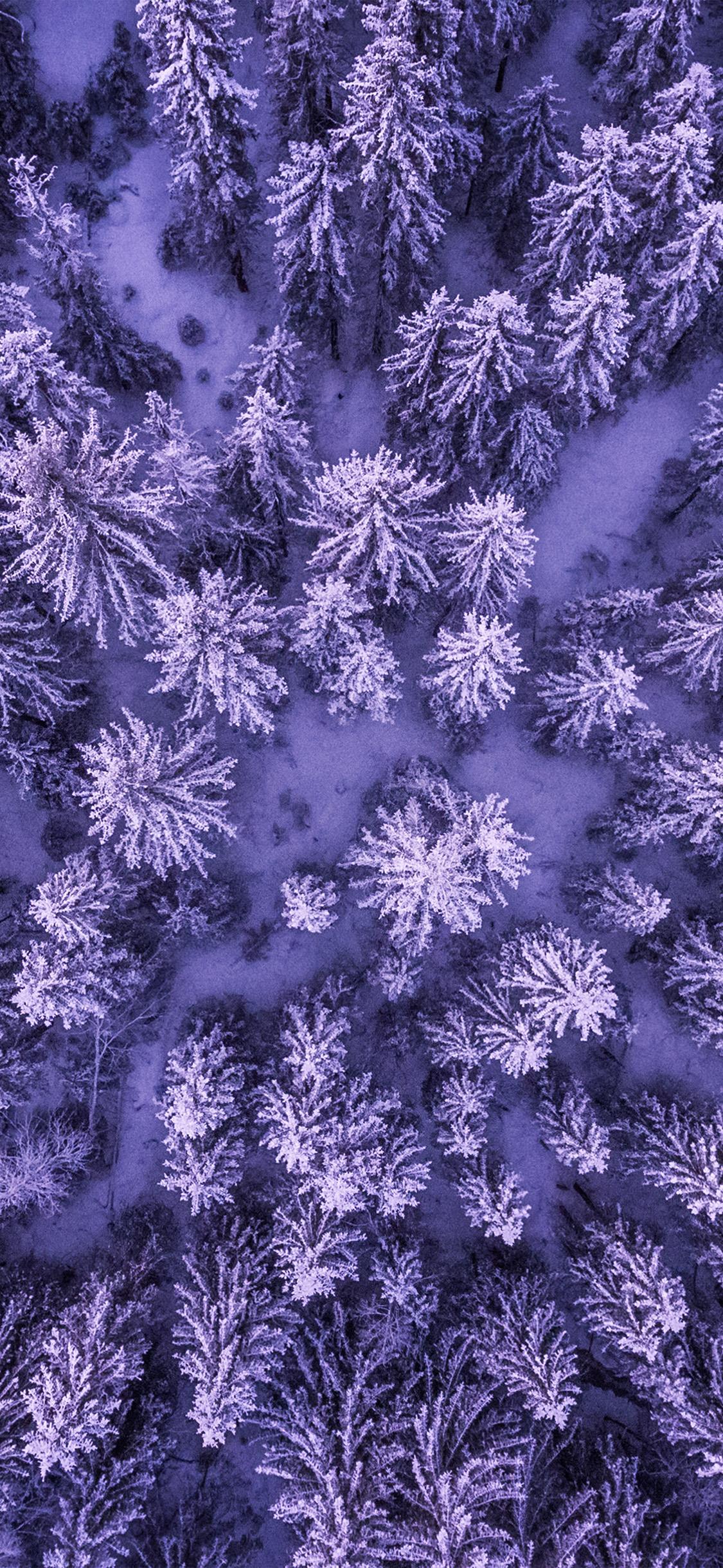 1125x2436 iPhone X wallpaper. mountain forest wood purple nature