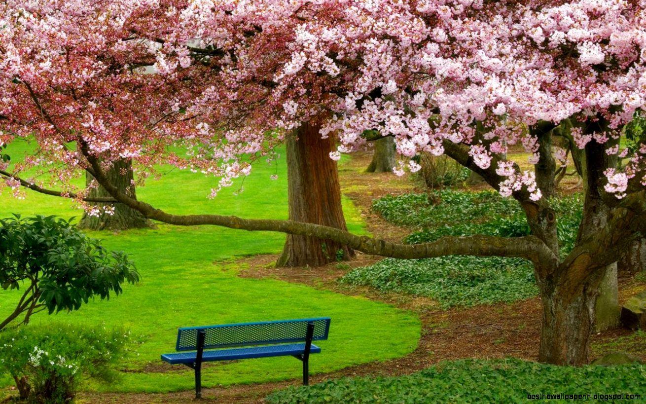1310x819 Super High Resolution Nature Wallpaper. Best HD Wallpaper