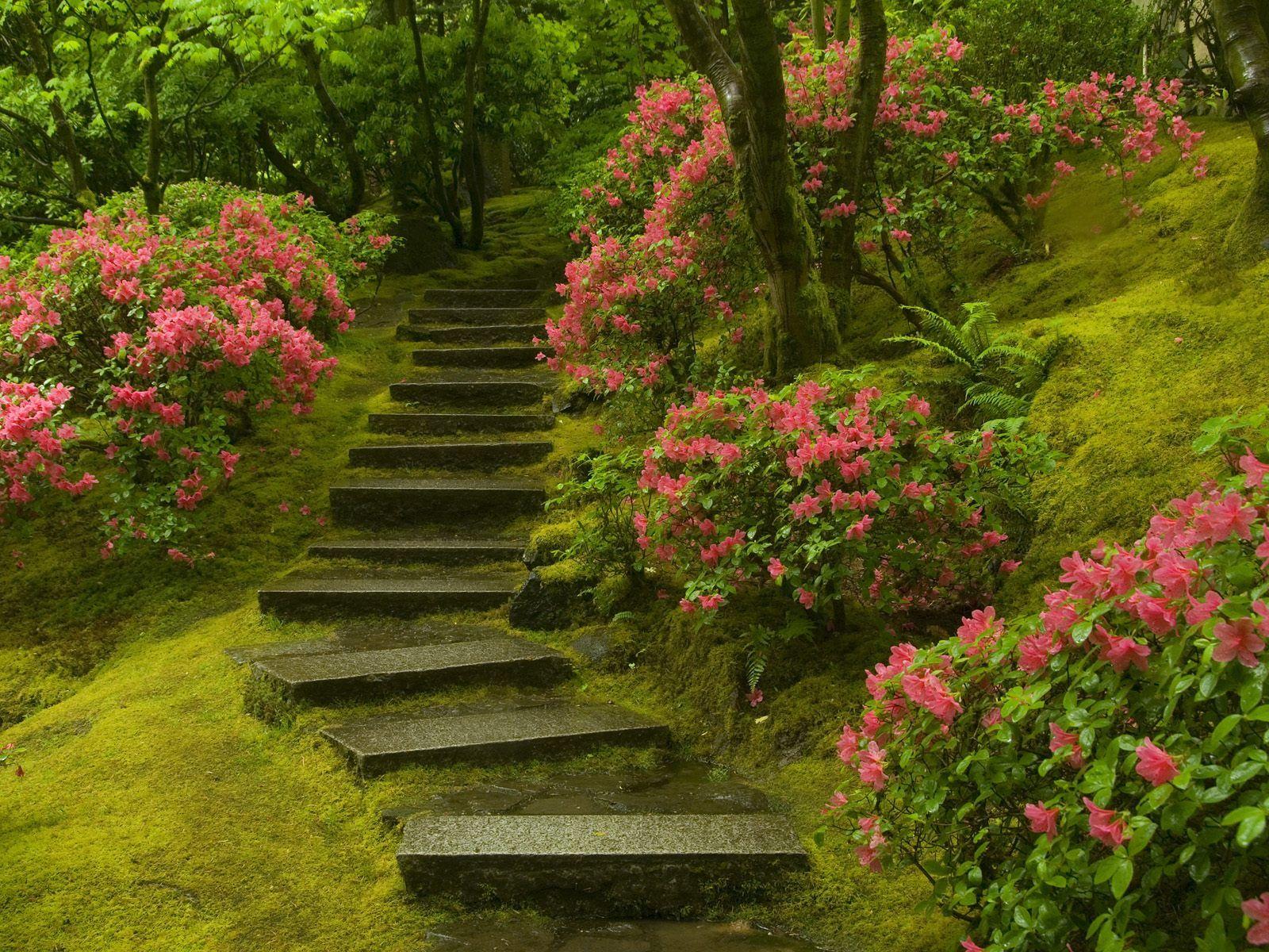 1600x1200 Japanese Garden Washington Park Wallpaper