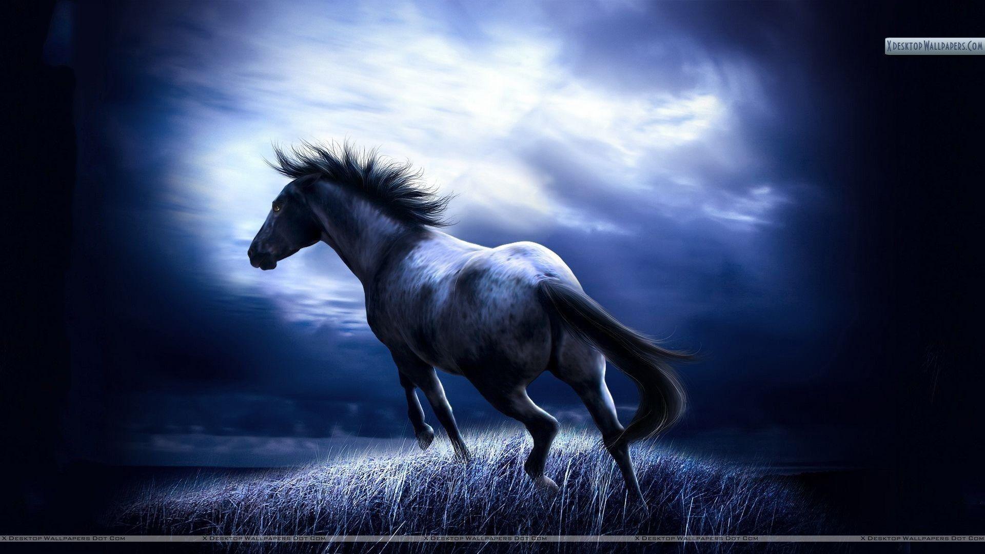 1920x1080 Horse Wallpaper