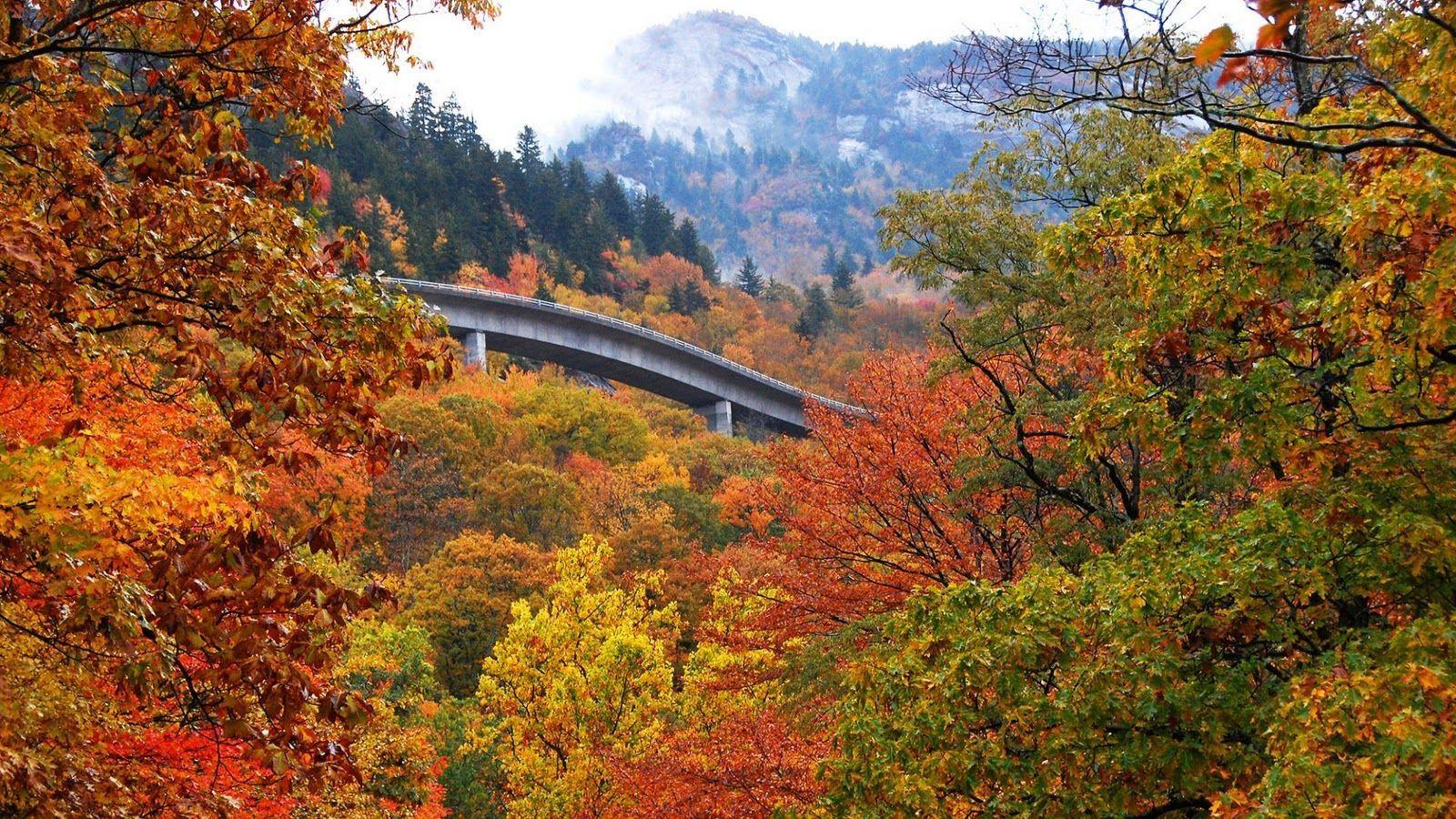 1600x900 Beautiful north Carolina River Bridge Autumn Picture